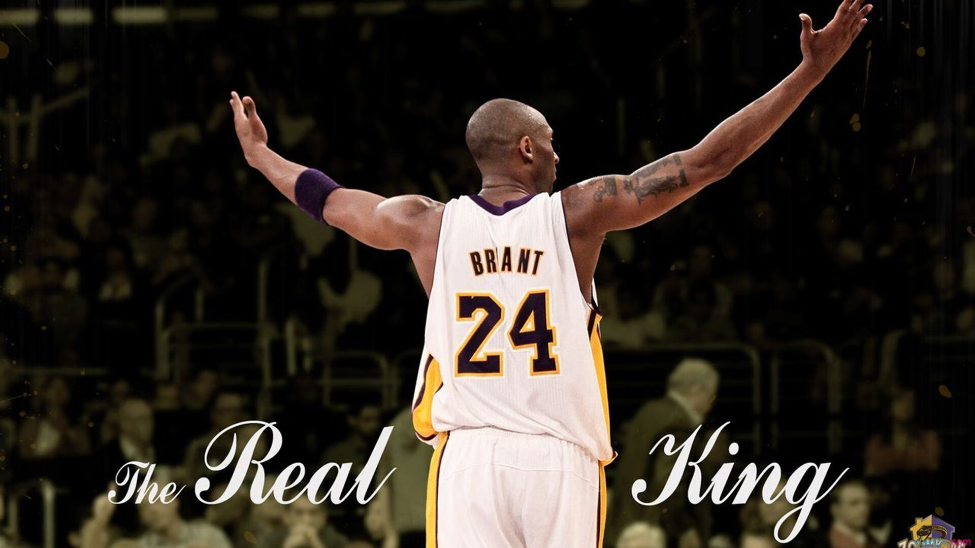 体育赛事观众行为特征分析，体育比赛的观众用英文怎么说